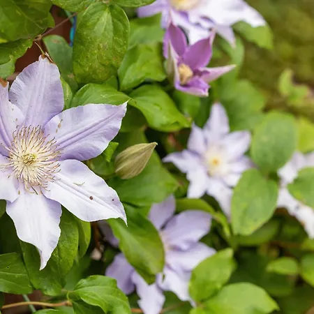 - Morze U Nas Nyaraló *