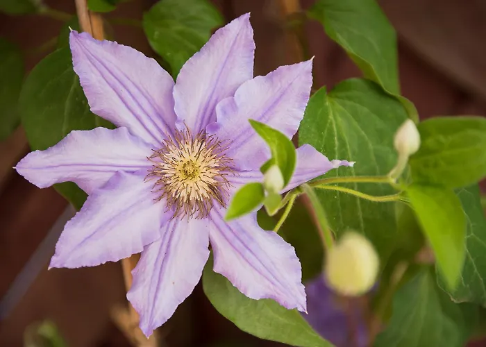 Nyaraló - Morze U Nas *